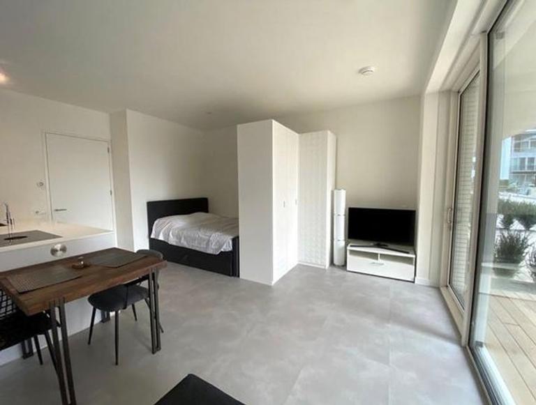 Studio with sunny terrace in the Zuidas - Image 3