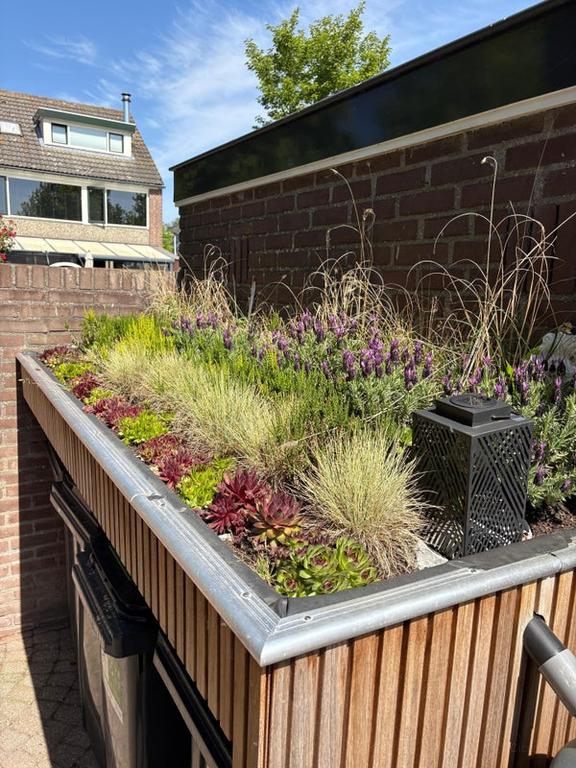4-slaapkamer huis met tuin en haard - Afbeelding 5