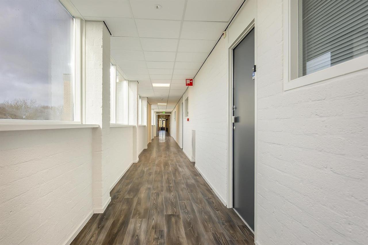 Renovated 55+ apartment with balcony - Image 24