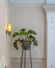Luxe 3-slaapkamer appartement in de Spuistraat - Afbeelding 11