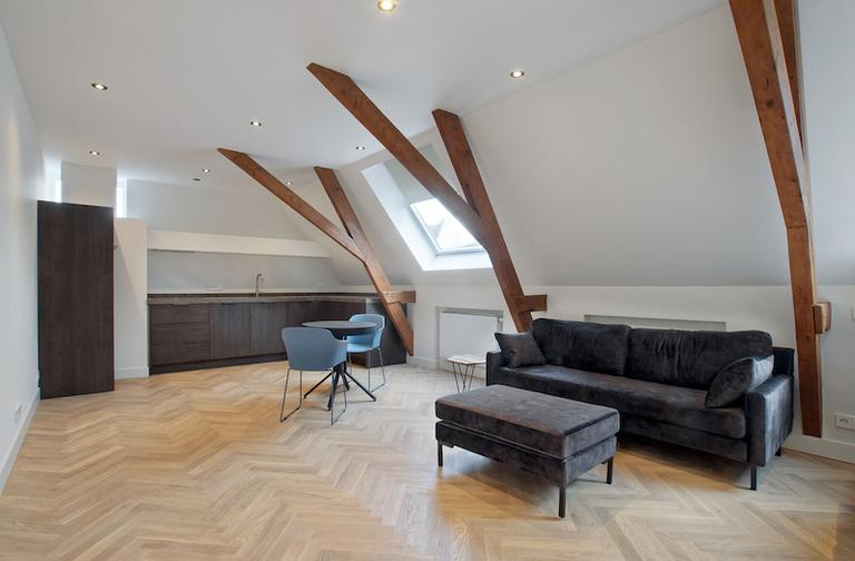 Furnished 55m² Studio in De Weteringschans - Image 4