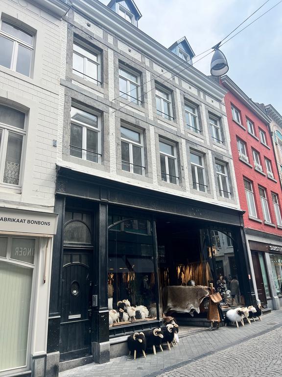 Gerenoveerd appartement Binnenstad - Afbeelding 11