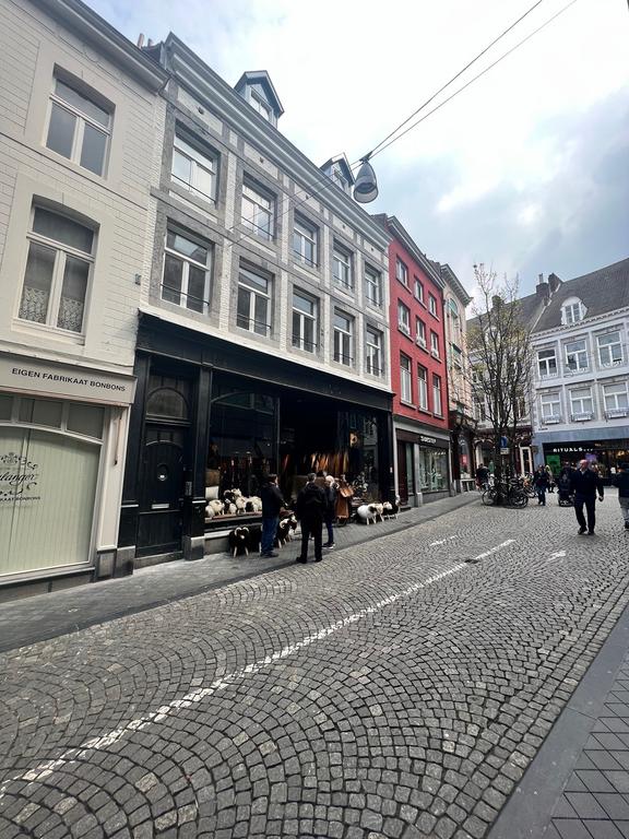 Gerenoveerd appartement Binnenstad - Afbeelding 12