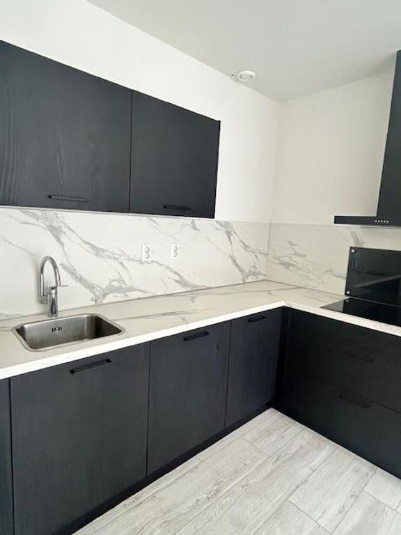 Renovated apartment in Hillesluis - Image 3