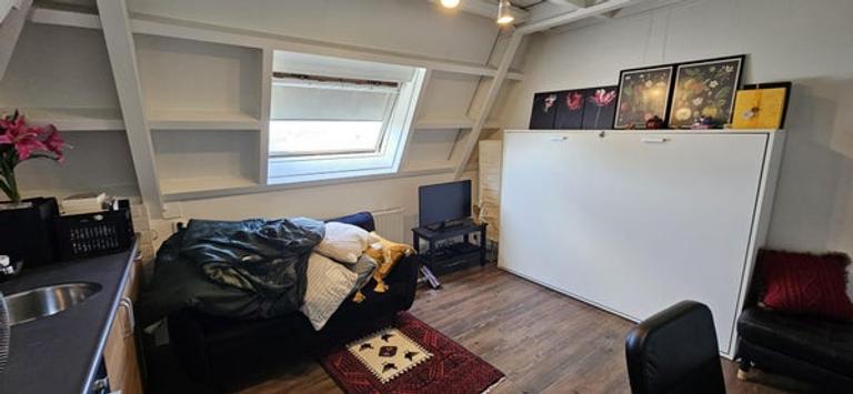 Furnished studio (A++) near Westerhaven - Image 3