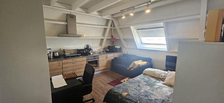 Furnished studio (A++) near Westerhaven - Image 13