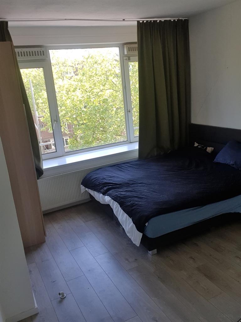 Grootste kamer (20 m²) in gedeeld huis nabij Zuidplein - Afbeelding 2