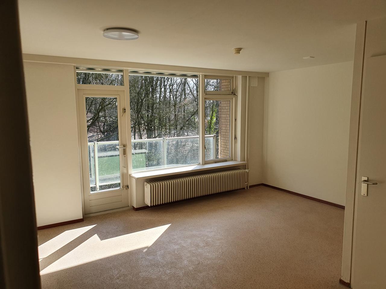 Studentenstudio met balkon in Arnhem - Afbeelding 1