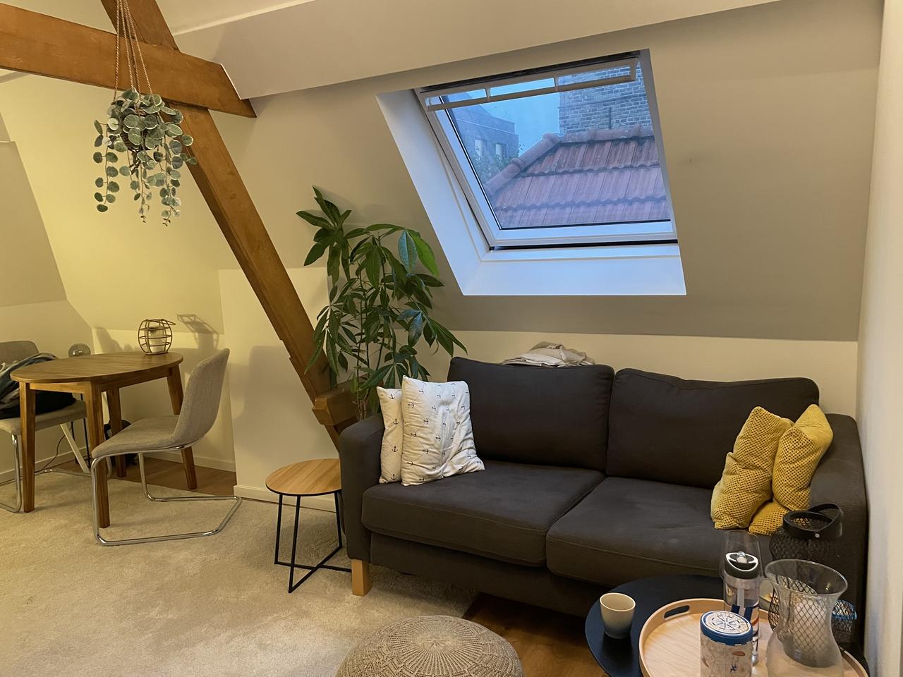 Studio van 28m2 in hartje Breda - Afbeelding 3