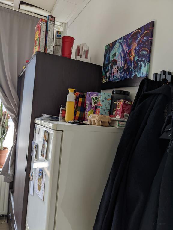 Studentenkamer met 100m² tuin in Breda - Afbeelding 4