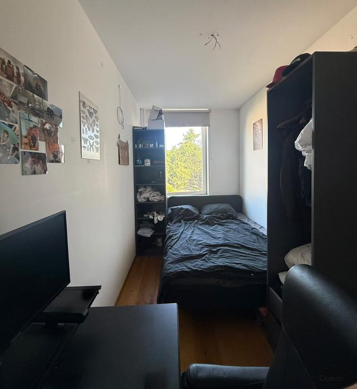 4-kamer appartement in hartje Zeist - Afbeelding 6