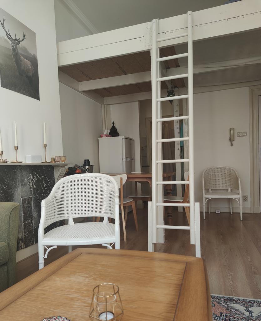 Lichte studio (28m²) aan de Oudegracht - Afbeelding 3