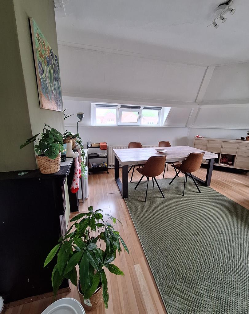 Studentenkamer van 25m² nabij centrum - Afbeelding 2
