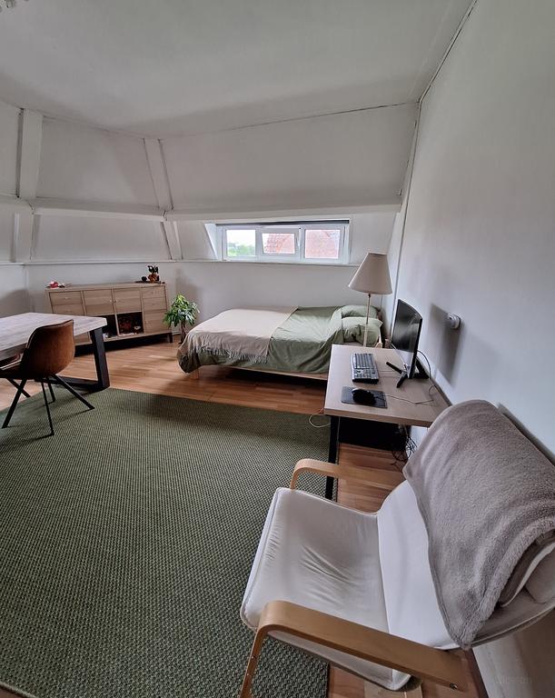Studentenkamer van 25m² nabij centrum - Afbeelding 4