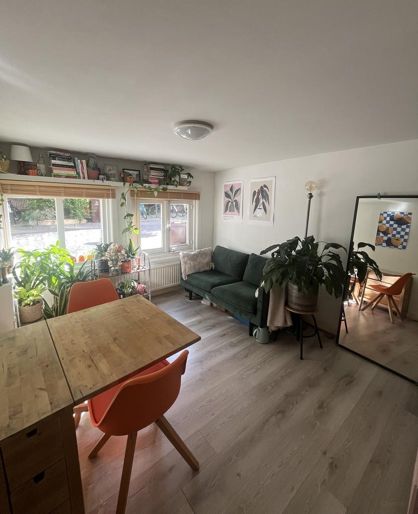 Souterrain met eigen tuin in Buiten Wittevrouwen - Afbeelding 1