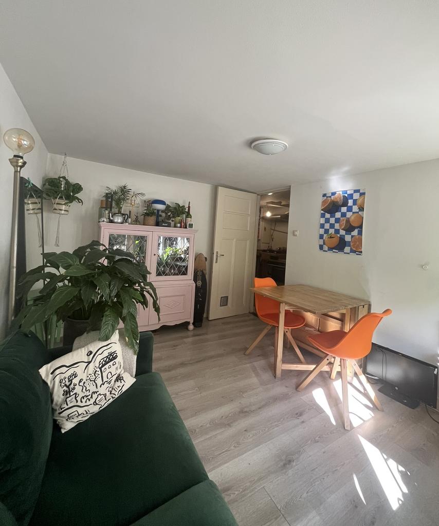 Souterrain met eigen tuin in Buiten Wittevrouwen - Afbeelding 3