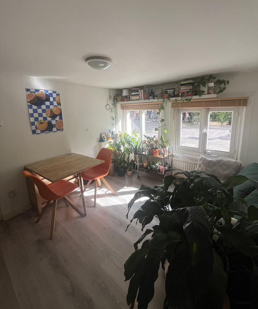 Souterrain met eigen tuin in Buiten Wittevrouwen - Afbeelding 2