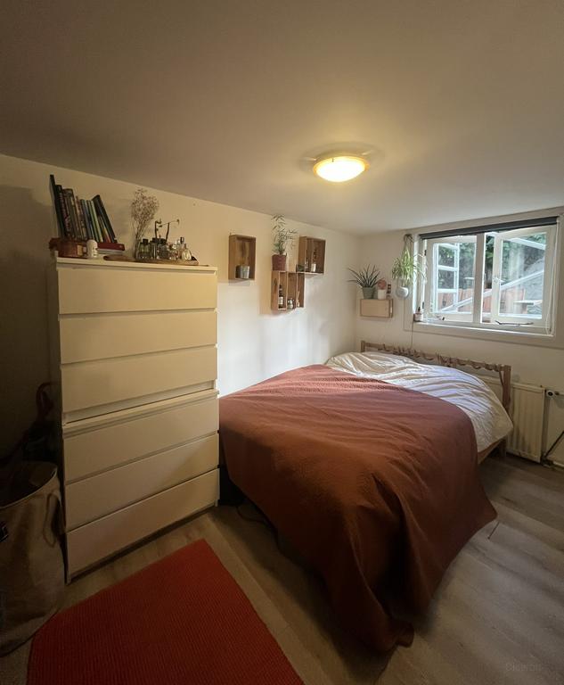 Souterrain met eigen tuin in Buiten Wittevrouwen - Afbeelding 7