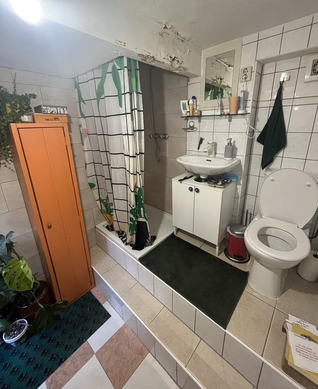 Souterrain met eigen tuin in Buiten Wittevrouwen - Afbeelding 8