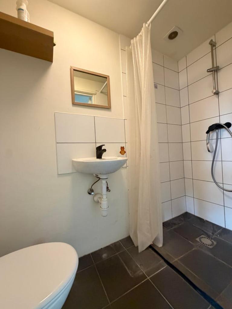 Furnished 2-bedroom apartment in Boeimeer - Image 3
