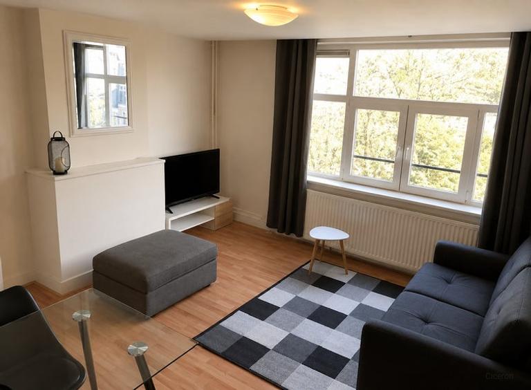 Gemeubileerd 2-kamerappartement in Nieuwe Westen - Afbeelding 4