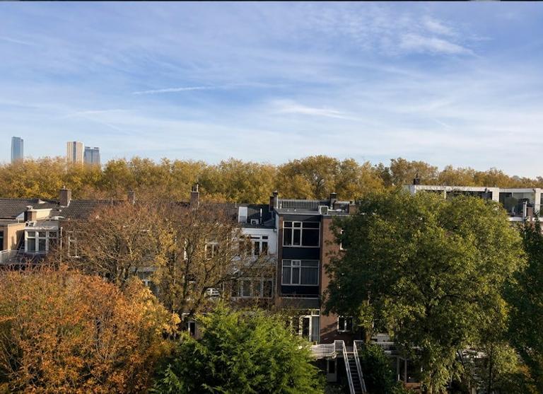 Gemeubileerd 2-kamerappartement in Nieuwe Westen - Afbeelding 7