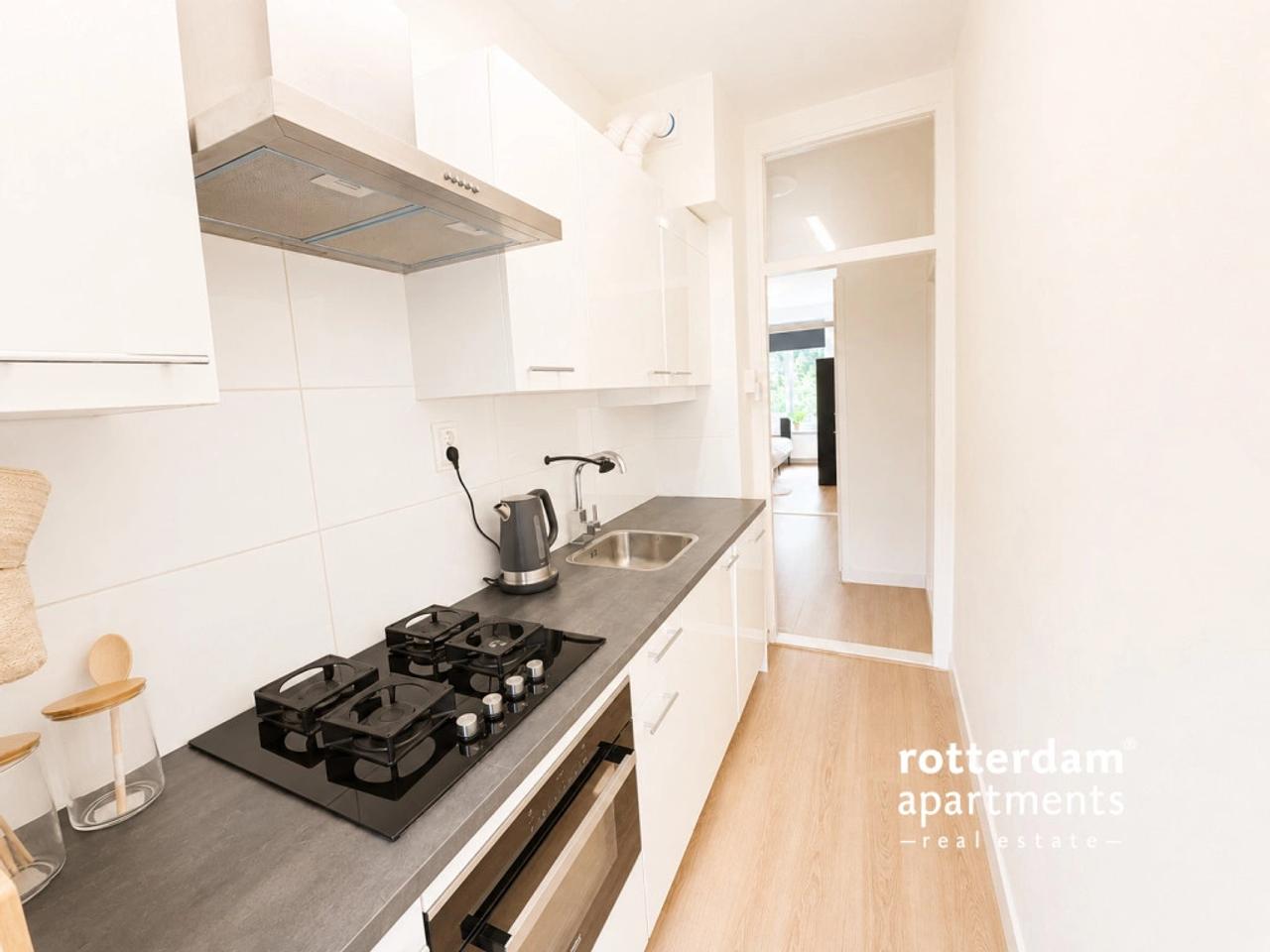 Lightly furnished apartment in Schildersbuurt-West - Image 6