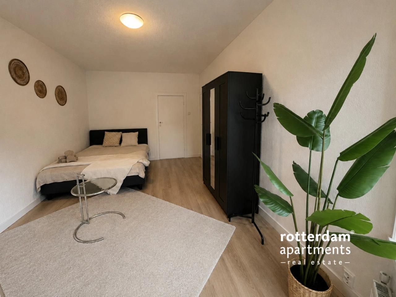 Lightly furnished apartment in Schildersbuurt-West - Image 7
