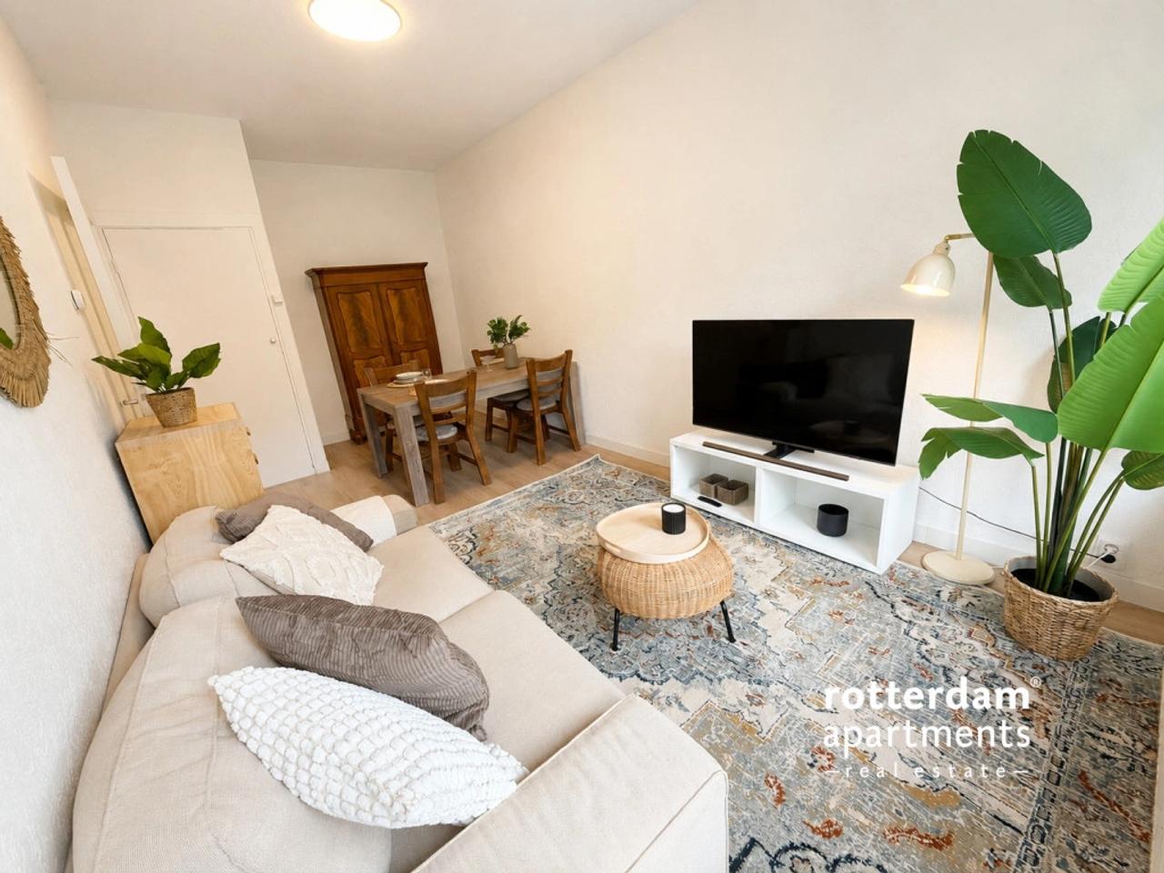 Lightly furnished apartment in Schildersbuurt-West - Image 1