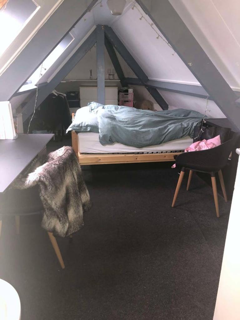 Gemeubileerde studentenkamer van 19 m² in 't Ribbelt - Afbeelding 3