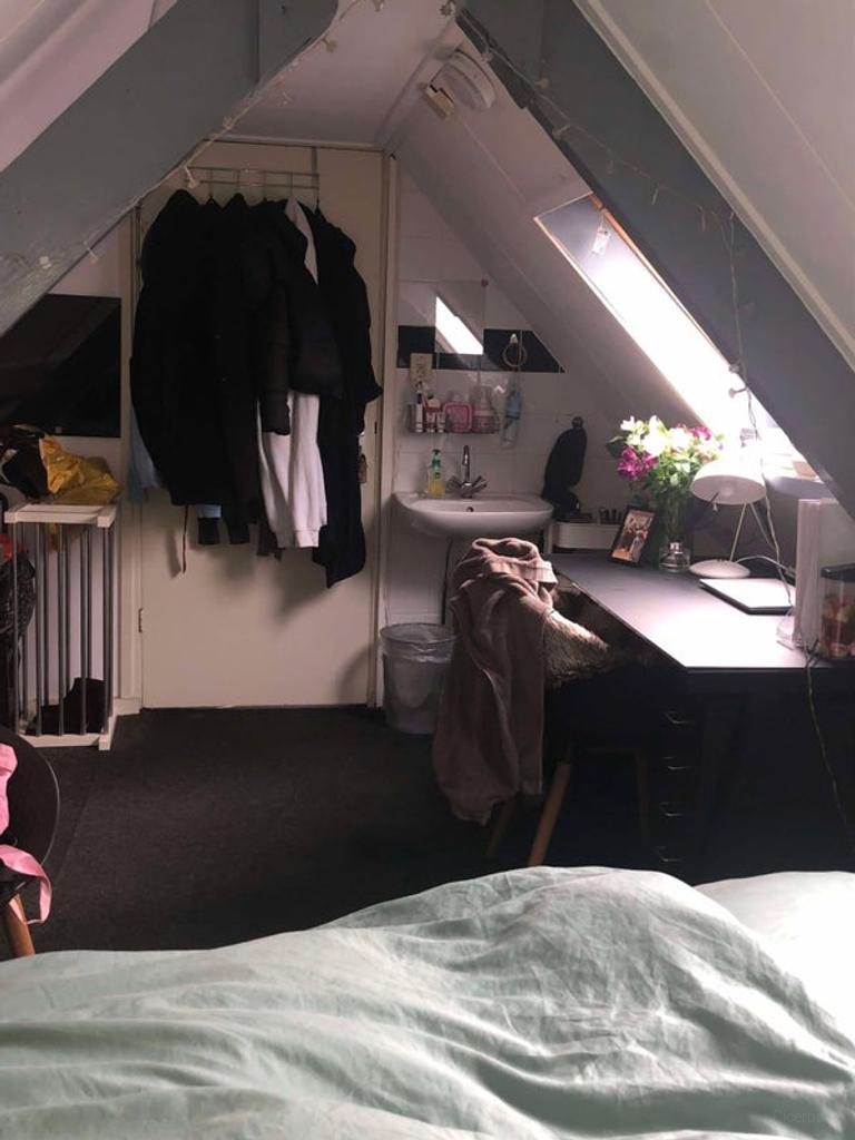 Gemeubileerde studentenkamer van 19 m² in 't Ribbelt - Afbeelding 2