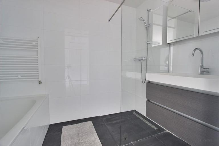 Furnished apartment near the Amsterdamse Bos - Image 16