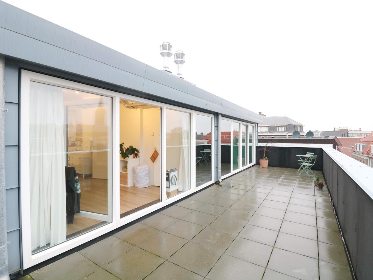 36m² Studio in the Heart of The Hague - Image 4