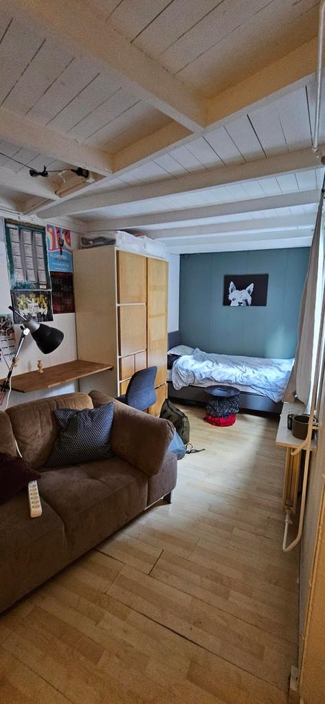 Room near Noorderplantsoen (22m²) - Image 2