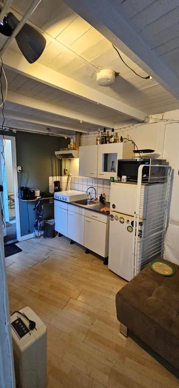 Room near Noorderplantsoen (22m²) - Image 5