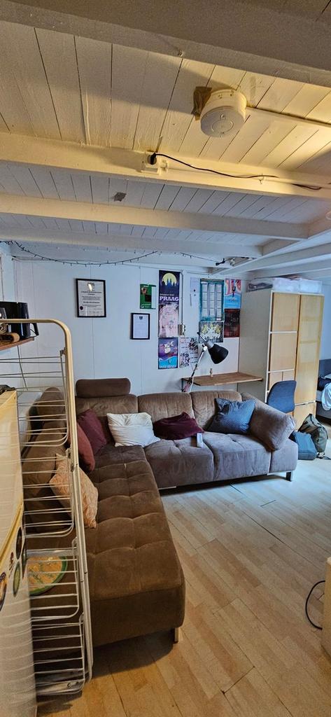 Room near Noorderplantsoen (22m²) - Image 3