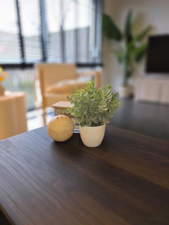 Furnished house in Parkwijk-Zuid - Image 10
