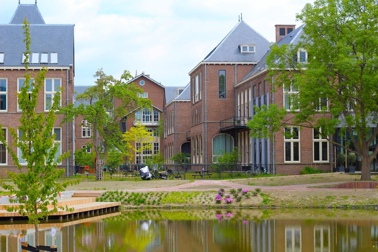 Loft van 60 m² in de Pesthuiswijk - Afbeelding 1
