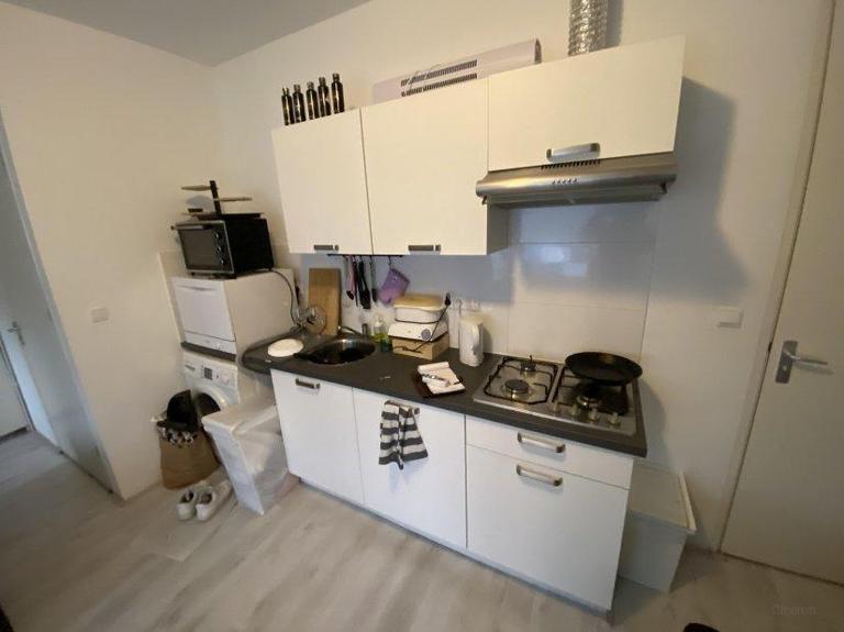 Lichte studio van 24 m² met huurtoeslag in wijk Helpman - Afbeelding 4