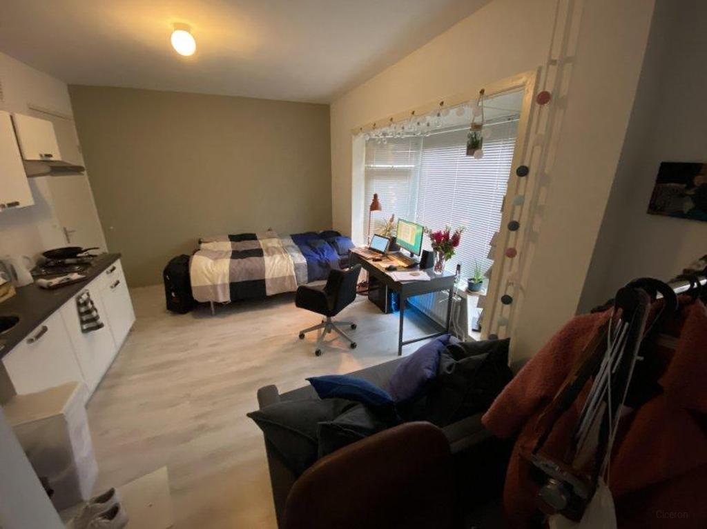 Lichte studio van 24 m² met huurtoeslag in wijk Helpman - Afbeelding 2