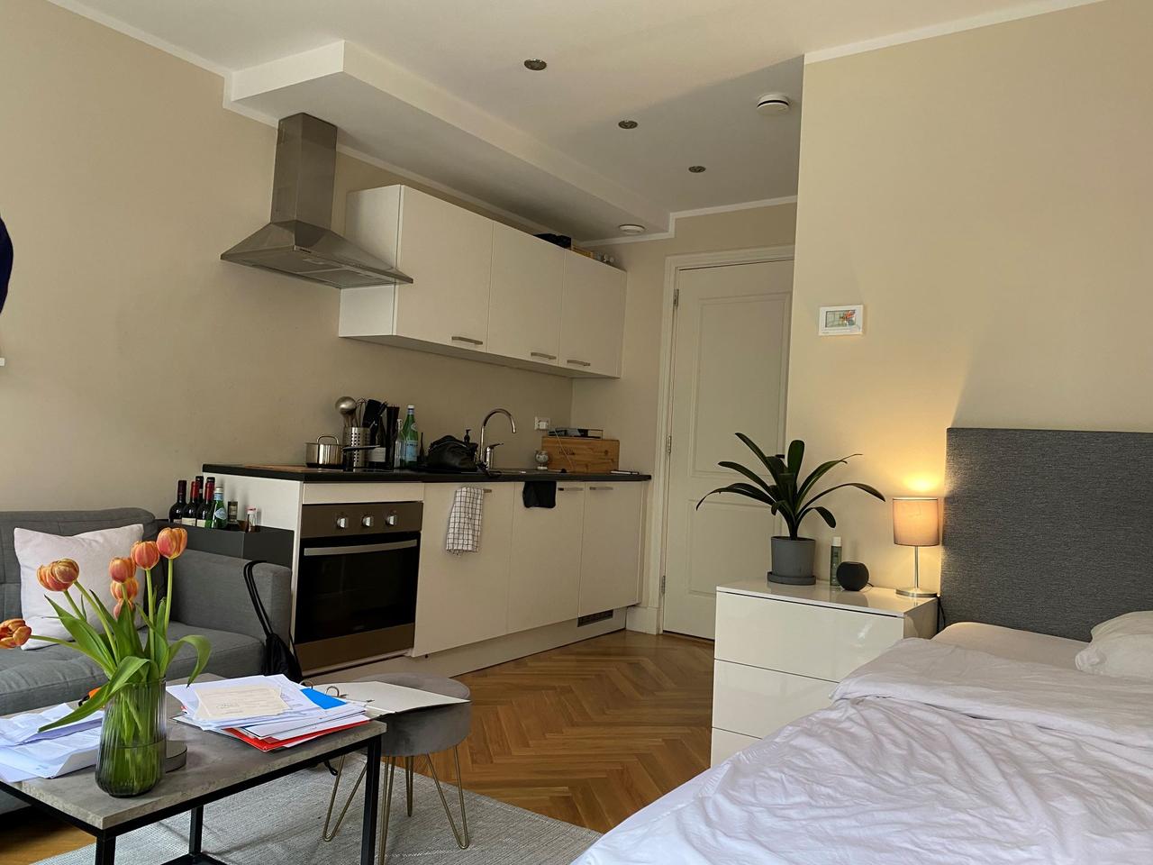 Furnished student studio in the center of The Hague - Image 3
