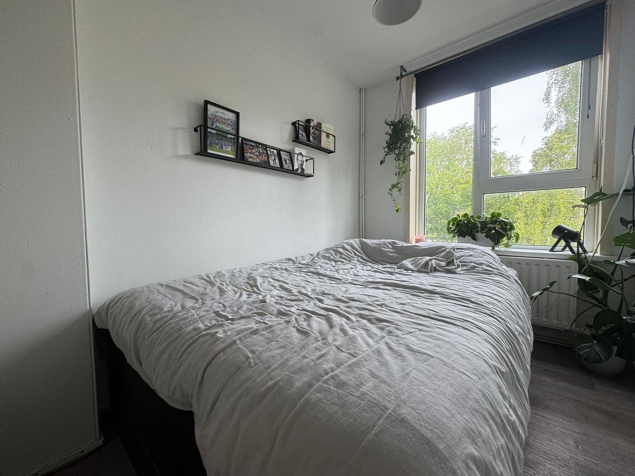 Student room of 11 m² near Zernike - Image 11