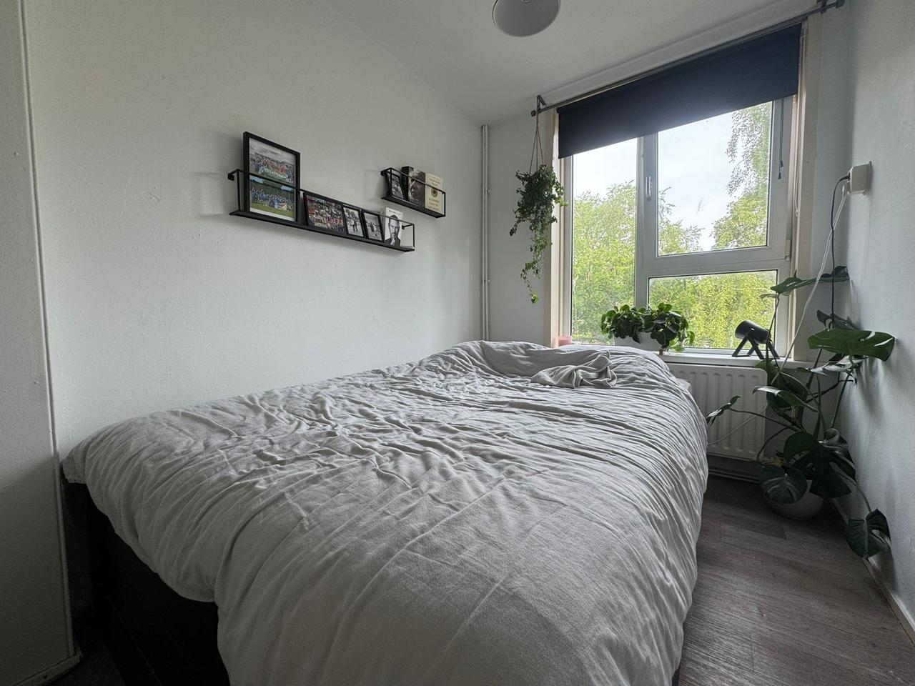 Student room of 11 m² near Zernike - Image 10