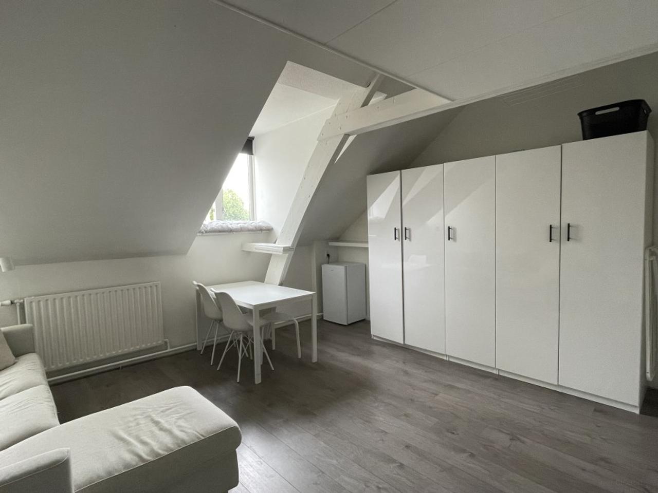 Lichte kamer van 22 m² aan de Weverssingel - Afbeelding 2