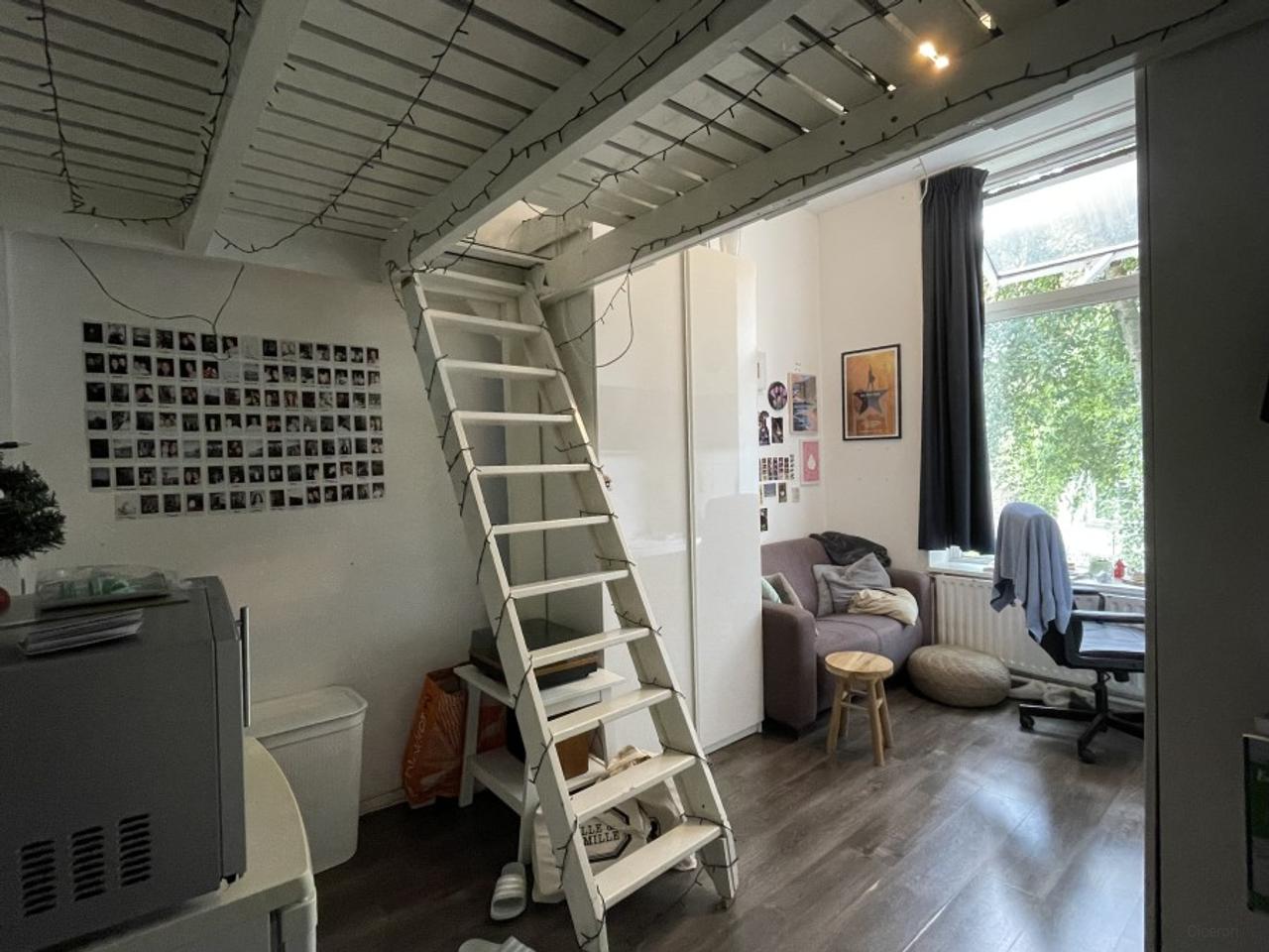 Lichte kamer met tuin aan de Weverssingel - Afbeelding 2