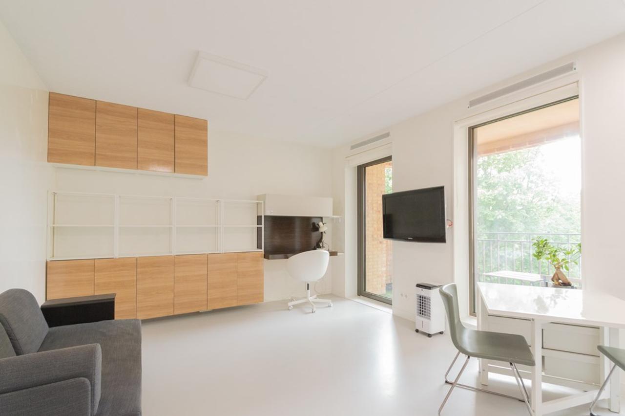 Furnished 1-bedroom apartment with balcony - Image 1