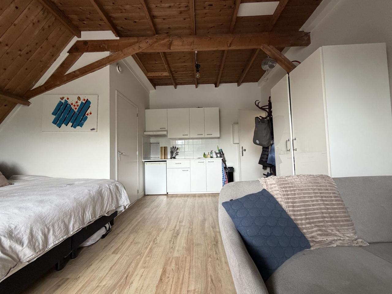 Studio met dakterras in Diezerpoort - Afbeelding 5