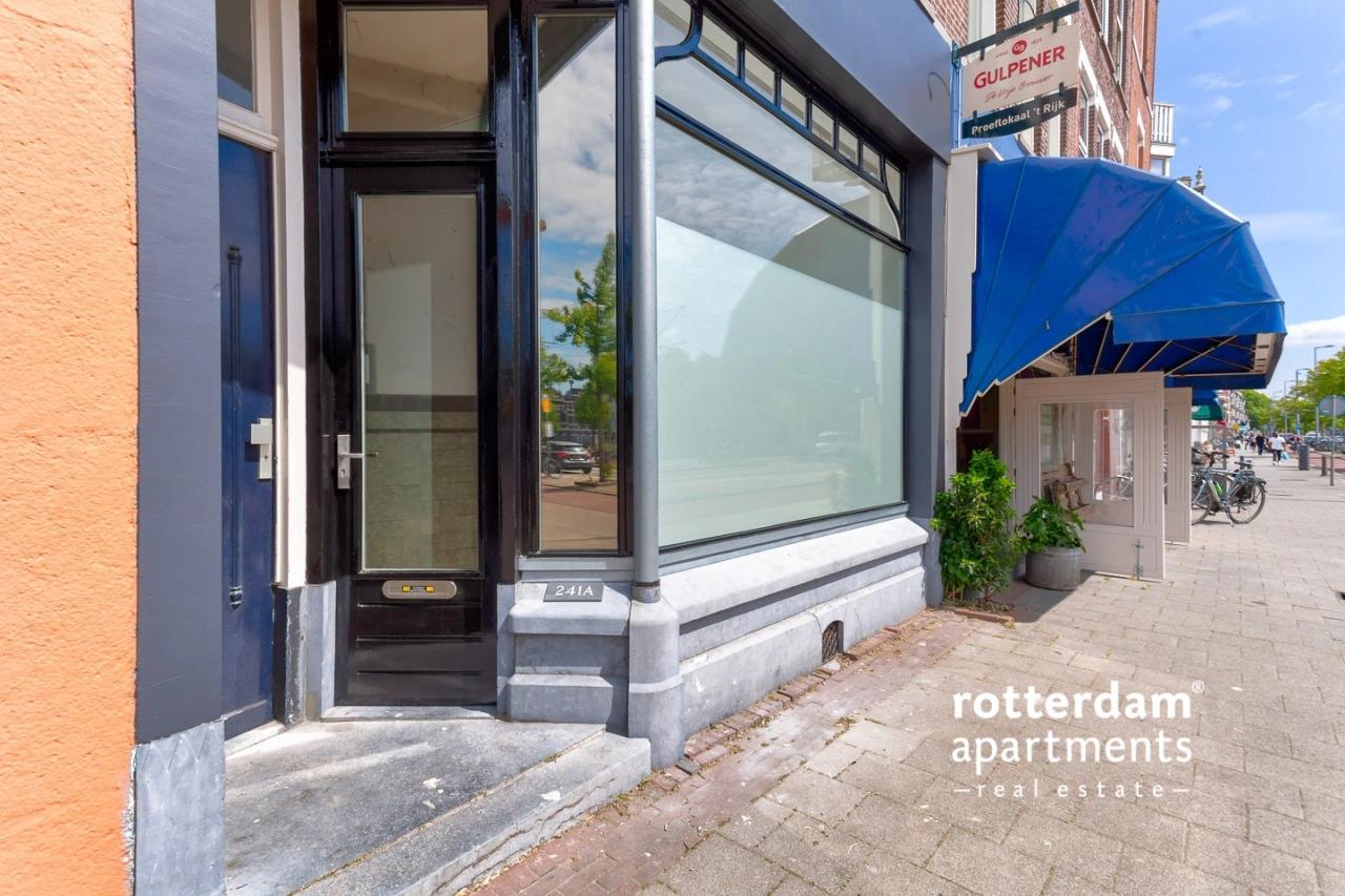 Gemeubileerde kamer met tuin in Kralingen - Afbeelding 21
