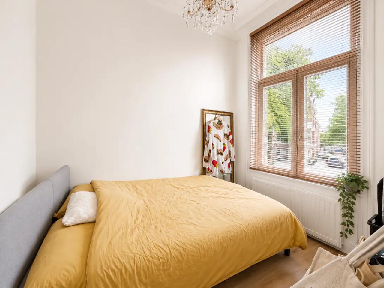 2-kamer appartement in Regentessekwartier - Afbeelding 3
