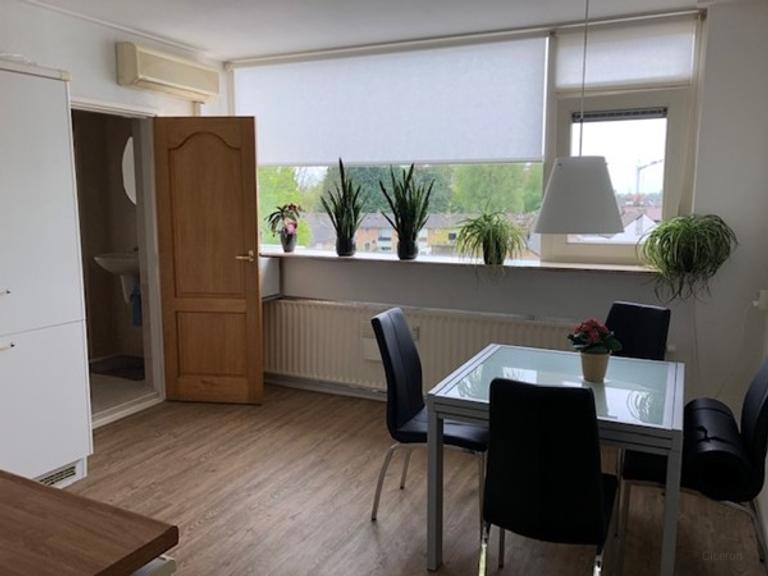 3-kamerappartement met dubbel balkon - Afbeelding 7